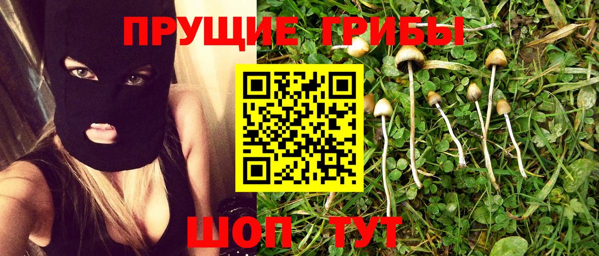 Псилоцибиновые грибы GOLDEN TEACHER Зеленодольск