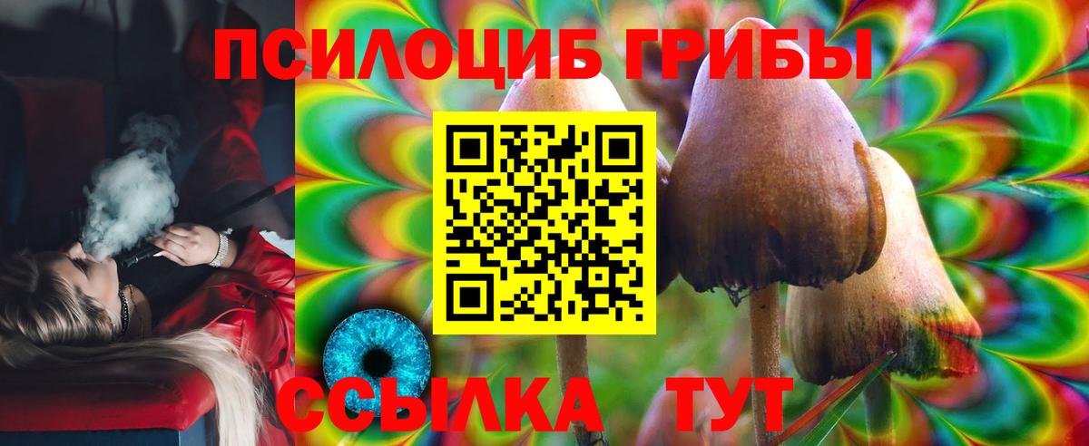Зеленодольск  Псилоцибиновые грибы Cubensis  Псилоцибиновые грибы Cubensis  что такое наркотик  Вход с VPN 